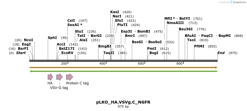 305395_map