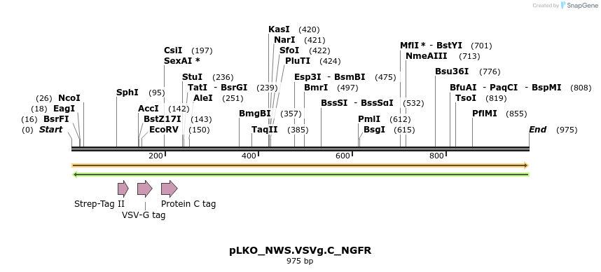 305399_map