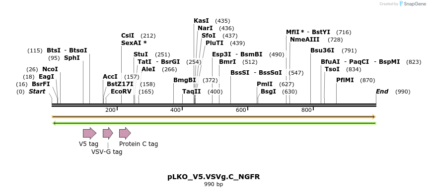 305401_map