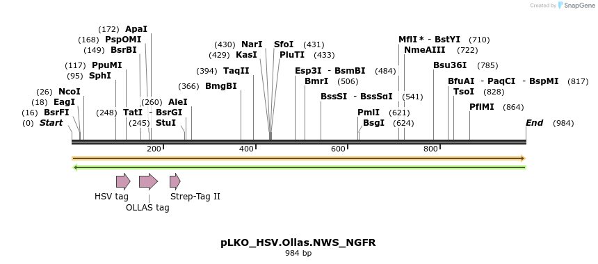 305411_map