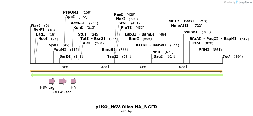 305413_map