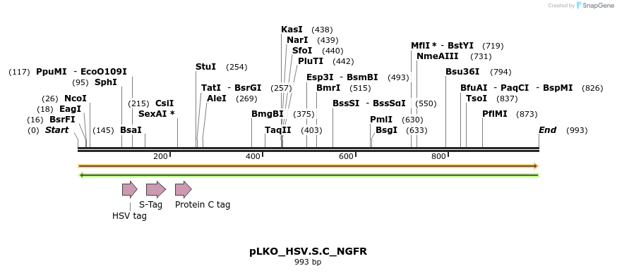 305419_map