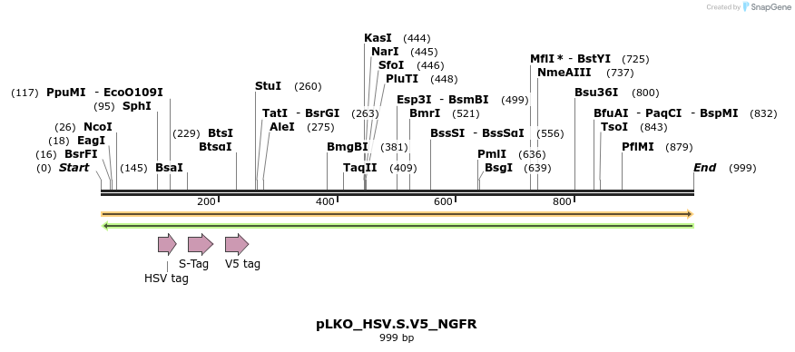 305421_map