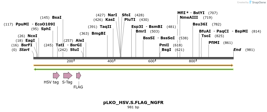 305423_map