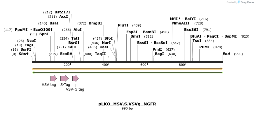 305431_map