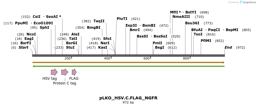 305435_map