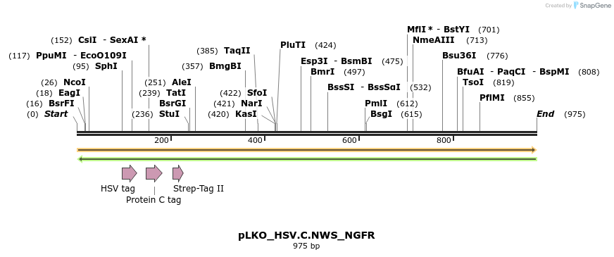 305437_map