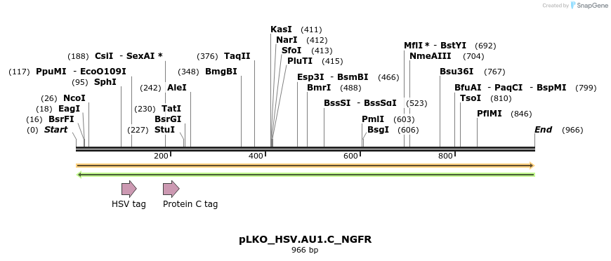 305441_map