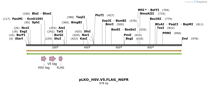 305445_map