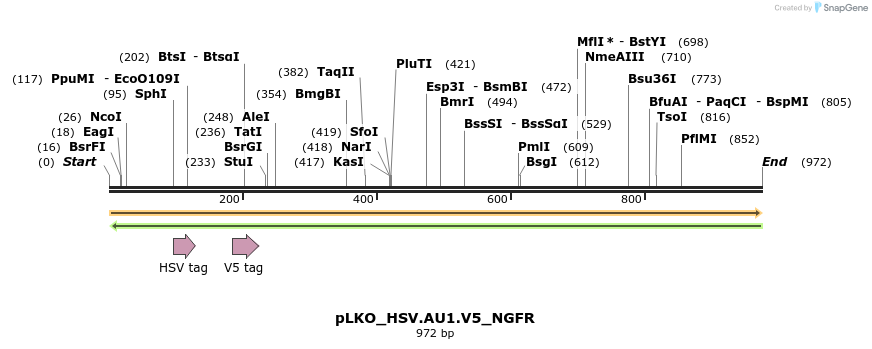305451_map
