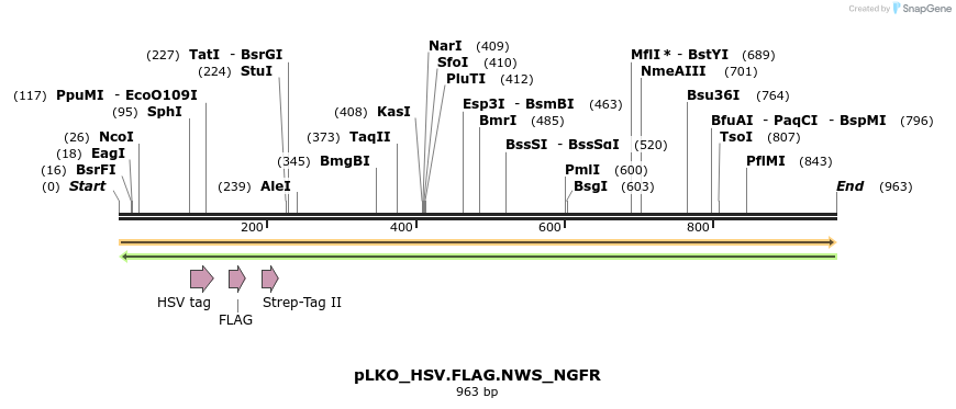 305455_map