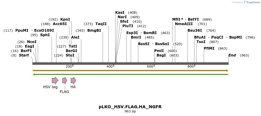305457_map