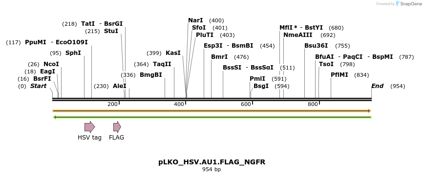305459_map