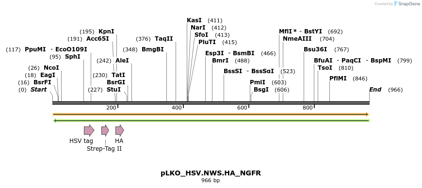 305463_map