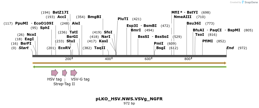 305467_map