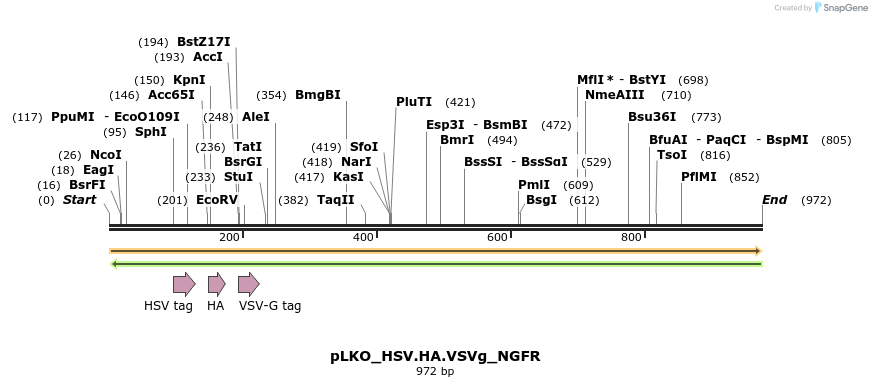 305471_map