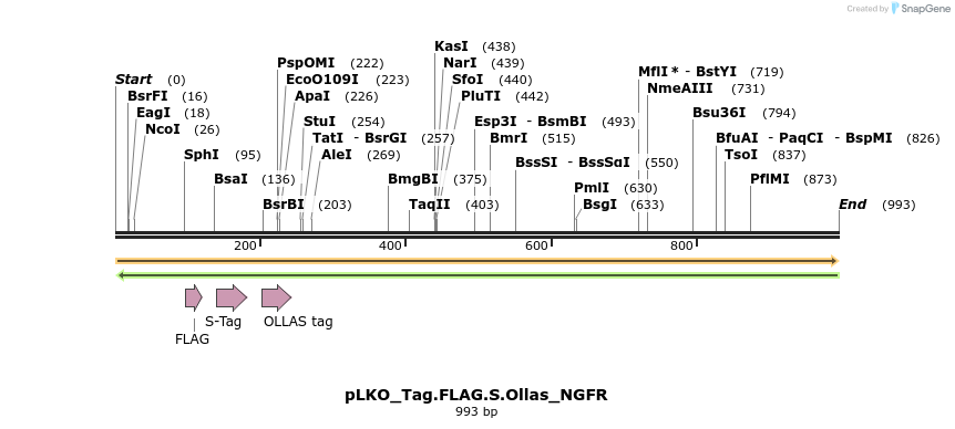 305479_map