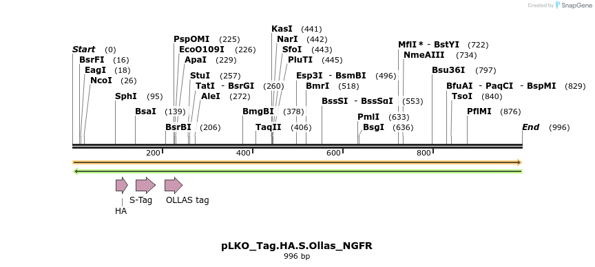 305483_map