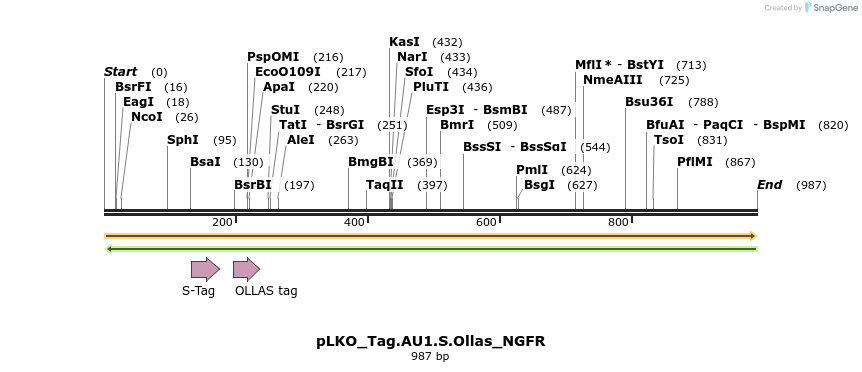 305485_map