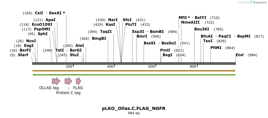 305491_map