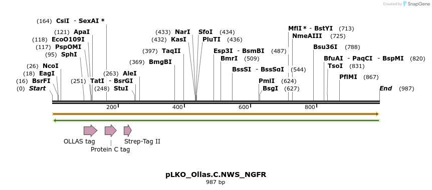 305493_map
