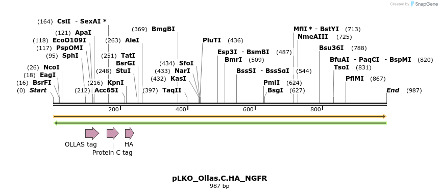 305495_map