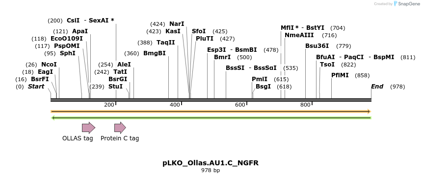 305497_map