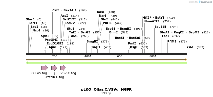 305499_map
