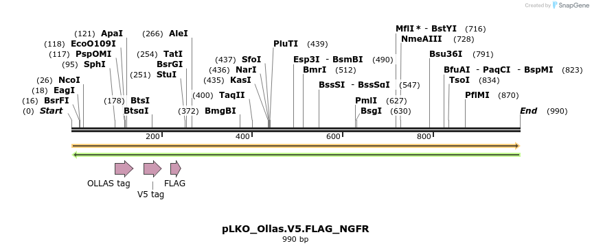 305501_map