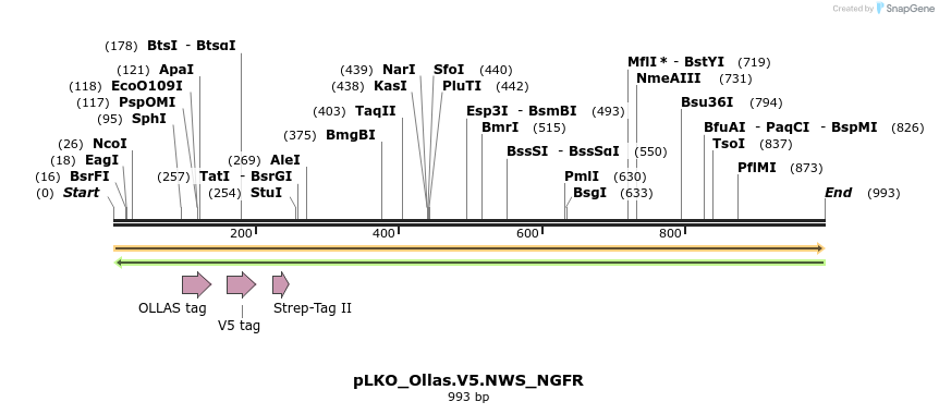 305503_map