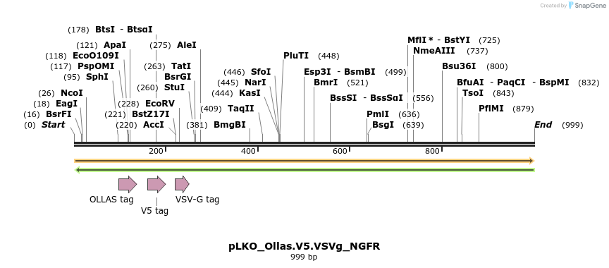 305509_map