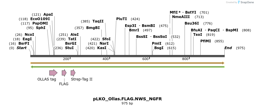 305511_map