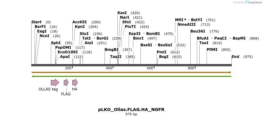 305513_map