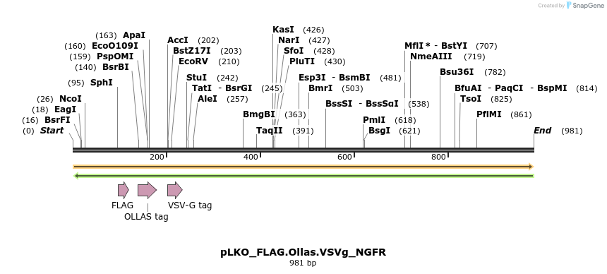 305517_map