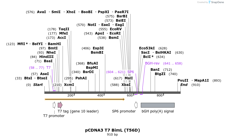 30552_map
