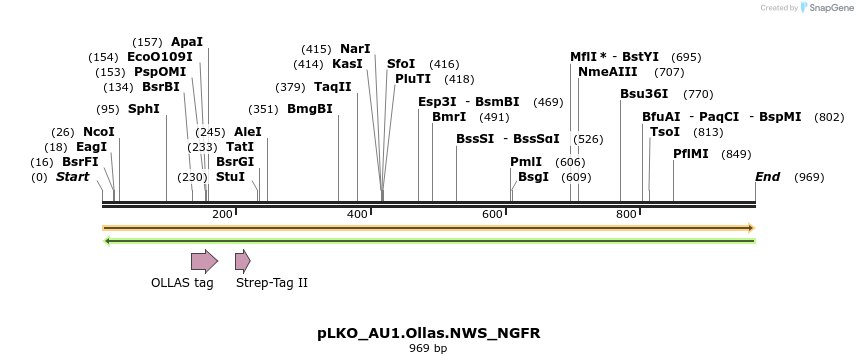 305521_map