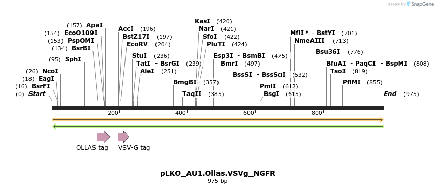 305529_map