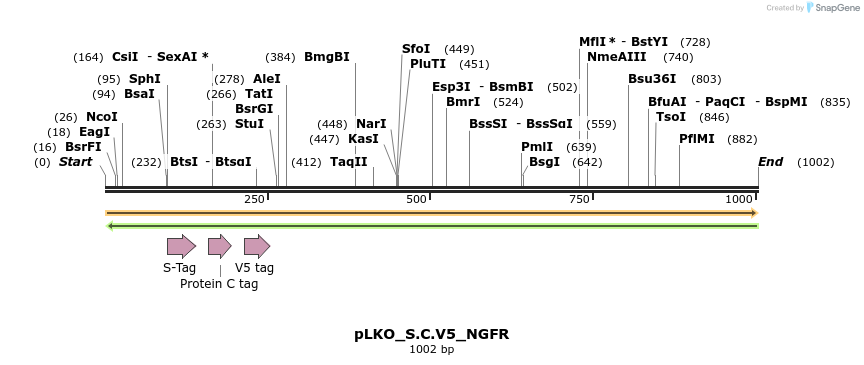 305531_map