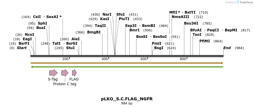 305533_map