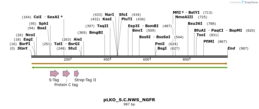 305535_map