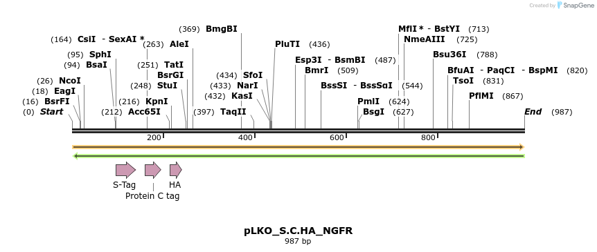 305537_map