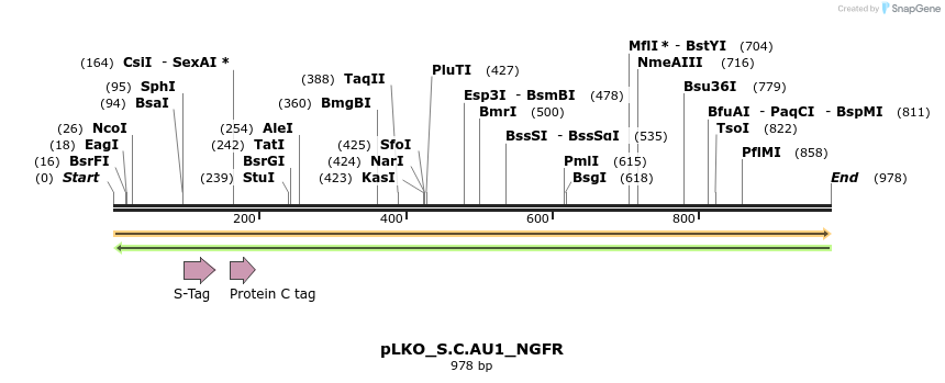 305539_map