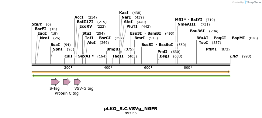 305541_map