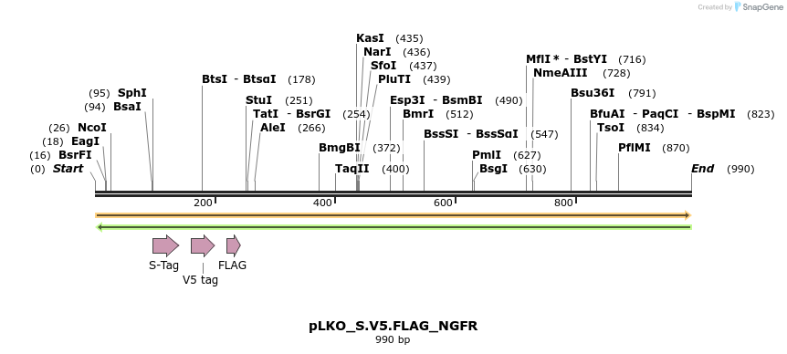 305543_map