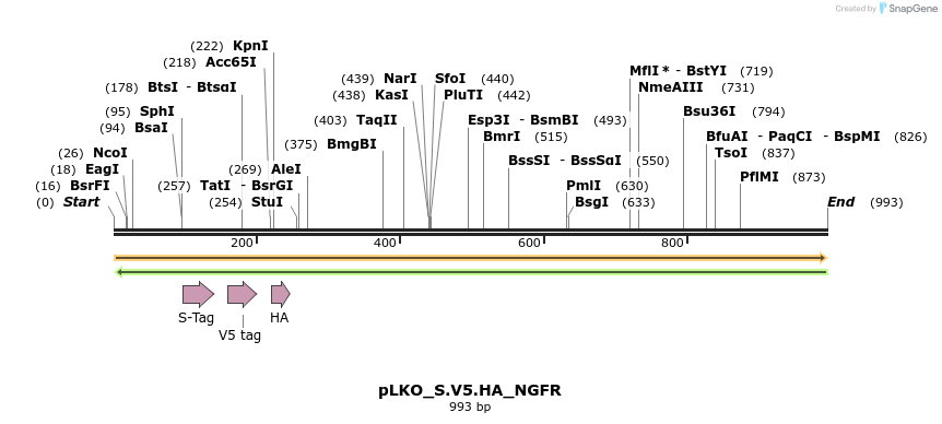 305547_map