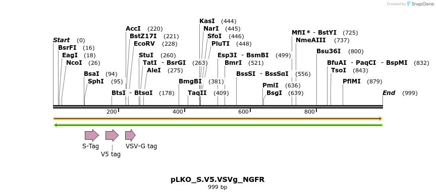 305551_map