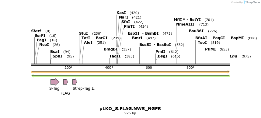 305553_map