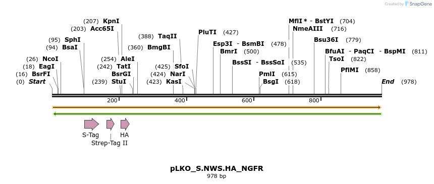 305561_map