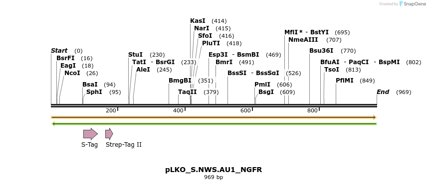 305563_map