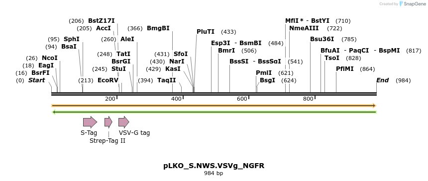 305565_map